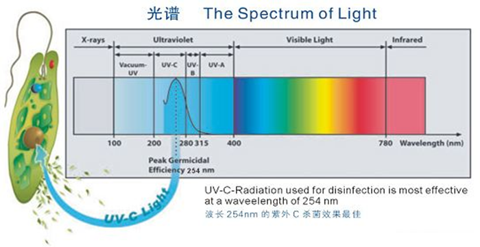 科普！紫外線殺菌燈對(duì)人體影響及正確使用方法